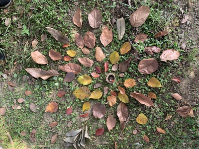 校園照片16