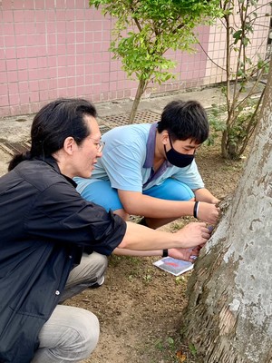 質感採集18