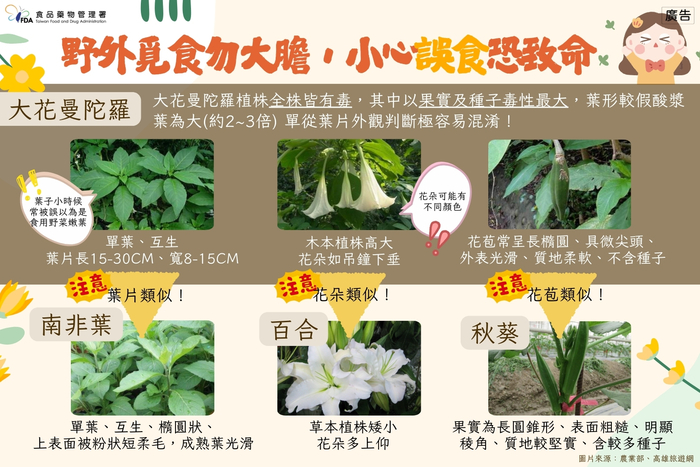 不採、不食野生不明動植物圖片